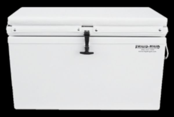 Picture of Cushion 22x60